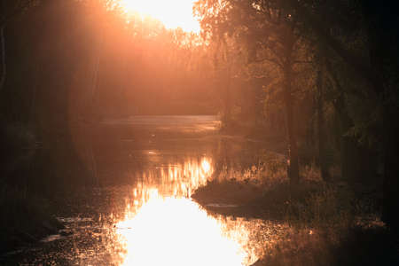 beautiful landscape - river in the forest at sunsetの写真素材