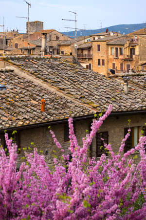 old town San Gimignano at the  province of Siena. Tuscany, Italyの写真素材