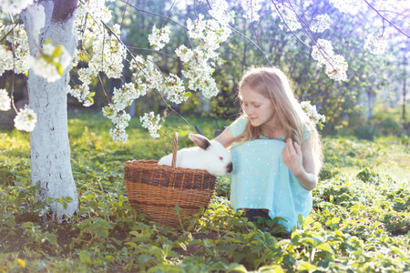 girl and rabbit on the lawn in a blooming cherry orchard at sunset