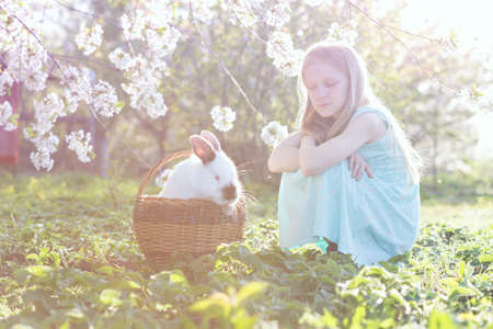 girl and rabbit on the lawn in a blooming cherry orchard at sunsetの写真素材