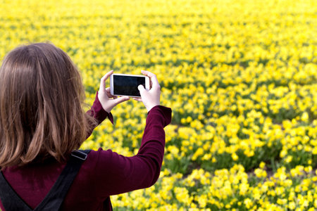 Girl takes pictures of a yellow daffodils on a smartphone