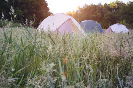 summer and active sport. tents stand in a meadow
の写真素材