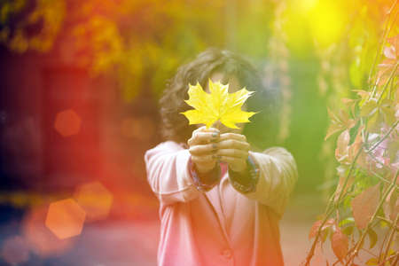 autumn - girl holds a yellow maple leaf
の写真素材