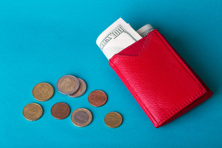 woman red purse with dollars banknote on a blue background