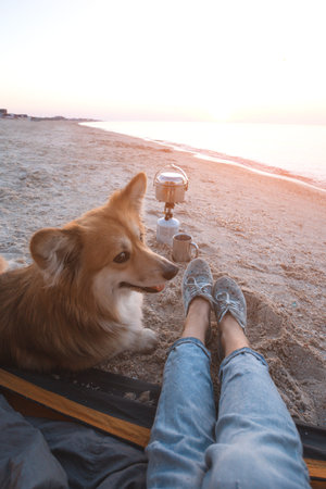 happy weekend by the sea - girl with a dog in a tent on the beach at dawn. Ukrainian landscape at the Sea of Azov, Ukraineの写真素材