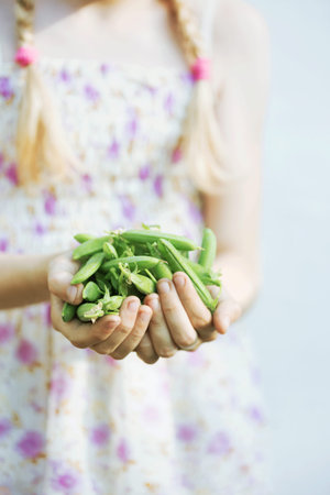 summer - the smiling girl is holding a green peas  in her hands
