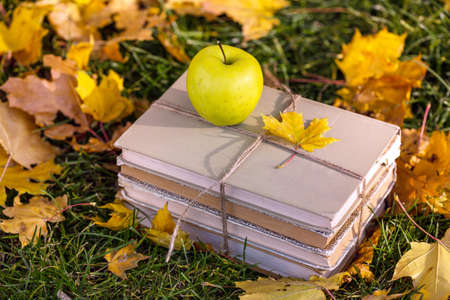 soon to school. concept of teaching and education. books and an apple lie on the grass in a yellow foliageの写真素材