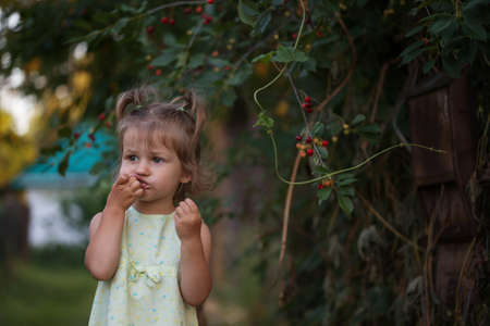the little girl eats cherry in the garden. Summerの写真素材