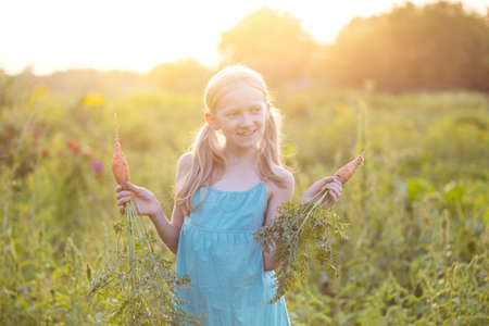 summer vacation of a little girl in the village. Fun girl with carrot in the garden at sunsetの写真素材