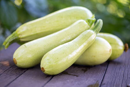 marrow on a wooden background at the gardenの写真素材