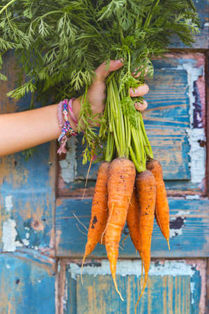 healthy food. girl in a garden holding a carrotの写真素材