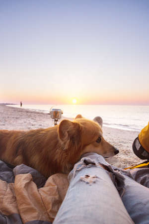 happy weekend by the sea -  dog on the beach. Ukrainian landscape at the Sea of Azov, Ukraineの写真素材