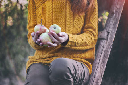 girl in the garden holding apples at sunsetの写真素材