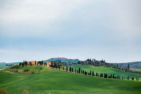 view of  typical Tuscan landscape and a valley with meadow, in the province of Siena. Tuscany, Italyの写真素材