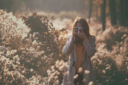 vintage autumn. girl with a vintage camera walks in the fields of fluffy dandelions at sunsetの写真素材