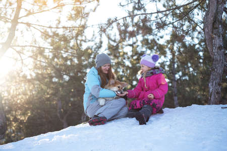 happy family - smiling mother and daughter with little cute corgi fluffy puppy at the winter dayの写真素材