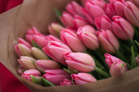 bouquet of beautiful pink tulips. Amsterdamの写真素材
