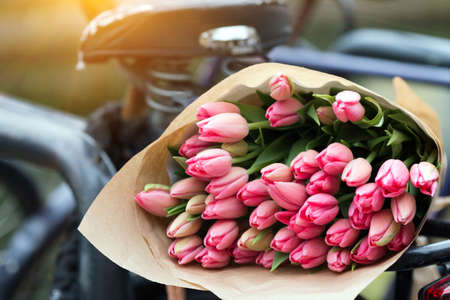 beautiful pink tulips on a old bike at the Amsterdamの写真素材