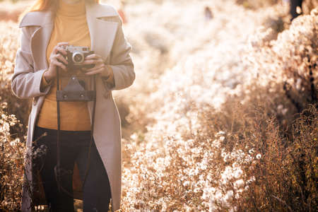 vintage autumn. girl with a vintage camera walks in the fields of fluffy dandelions at sunsetの写真素材