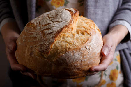 girl baker holding fresh white breadの写真素材