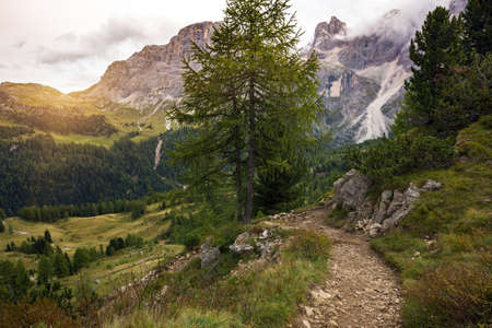 hiking trail in the mountains Dolomites, Italy. San Martino di Castrozzaの写真素材
