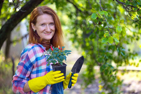 smiling girl transplants flowers in the garden. flower pots and plants for transplantingの写真素材