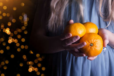 little girl holding tangerines in her hands. Christmas holidaysの写真素材