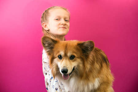 beautiful blond girl and corgi fluffy   on a pink backgroundの写真素材
