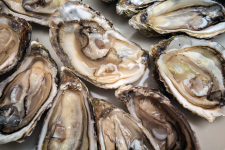french lunch -  fresh oysters on a large plate