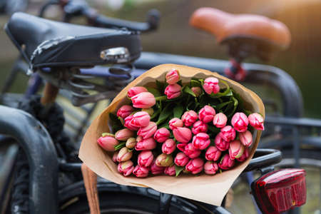 bouquet of beautiful pink tulips lie on the trunk of the bike. Amsterdamの写真素材
