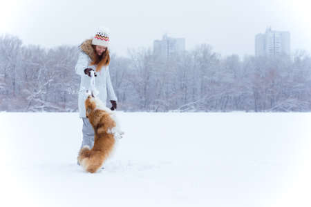dog corgi fluffy and his owner playing on a winter walk at the outdoorの写真素材
