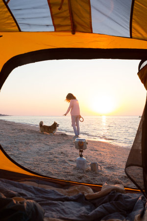 happy fun weekend by the sea - girl playing with a dog on the beach. Summerの写真素材