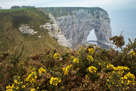 beautiful landscapes on the cliff of  Etretat on a cloudy day. France