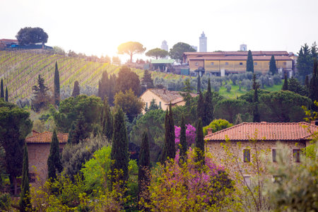 typical Tuscanian landscape - a view of a villa on a hill, cypress alley and a valley with vineyards...