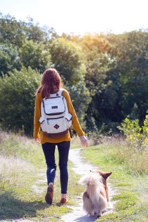 training - girl and dog corgi walking in the parkの写真素材