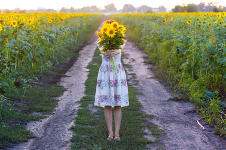 girl holding a huge bouquet of sunflowers in their handsの写真素材