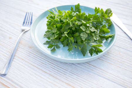 vegetarian and vegan menu - a bunch of parsley on a plate. healthy dietの写真素材