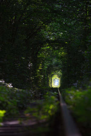 tunnel of Love at the Ukraine
の写真素材