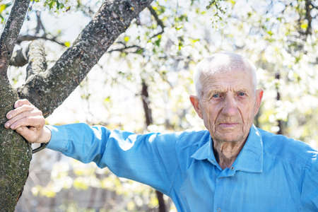 portrait of  senior man standing in the garden against a background of cherry blossomsの写真素材