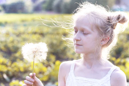 blonde Little girl holding dandelion and blowing it on the Sunset. summer holidays and moodの写真素材