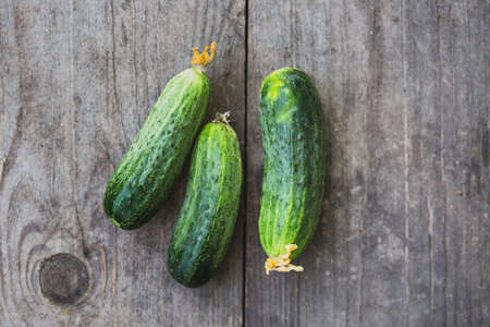 fresh young cucumbers on wooden backgroundの写真素材