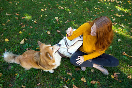 training - girl and dog corgi walking in the parkの写真素材