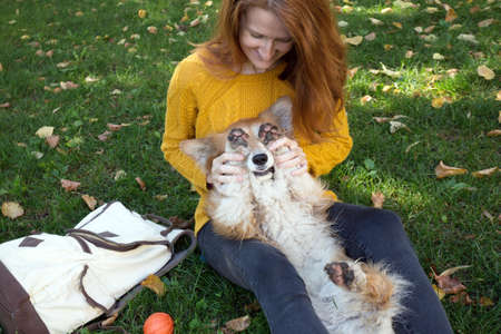 training - girl and dog corgi walking in the parkの写真素材