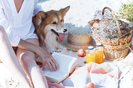 Summer - picnic by the sea. basket for a picnic with with buns, apples and juice. girl and dog on a picnicの写真素材