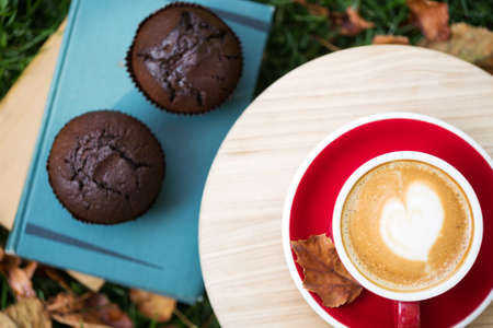 books and cup of coffee with chocolate Muffins on grass. fall and relaxの写真素材
