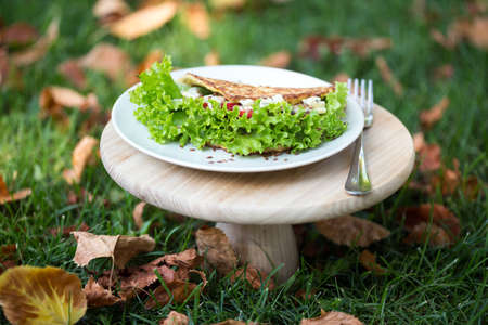 healthy nutrition in the fresh air. omelet with herbs, tomato and gorgonzolaの写真素材
