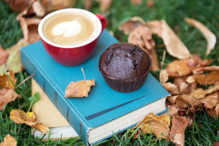 books and cup of coffee with chocolate Muffins on grass. fall and relaxの写真素材