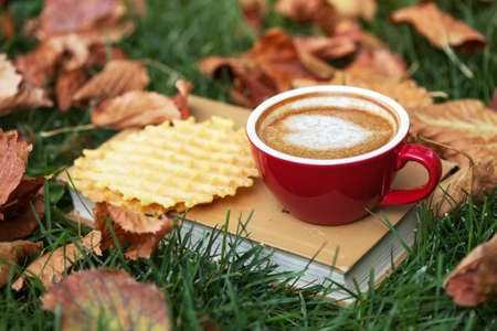 books and cup of coffee with waffles on grass. fall and relaxの写真素材