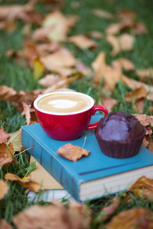 books and cup of coffee with chocolate Muffins on grass. fall and relax