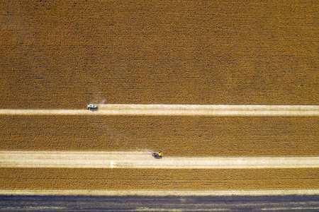 aerial view. harvesting. top view of the harvester on a field mows cornの写真素材